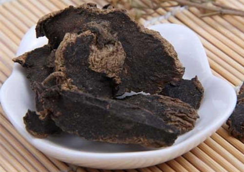 玄参