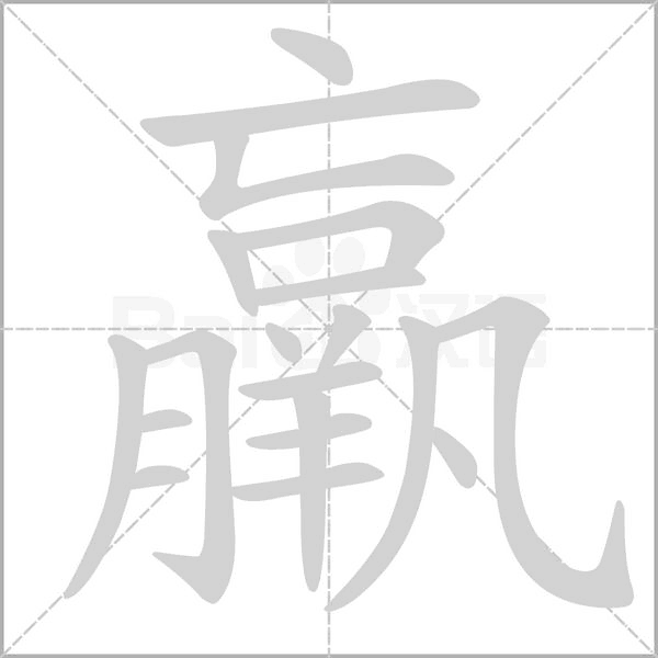 羸字笔顺动画