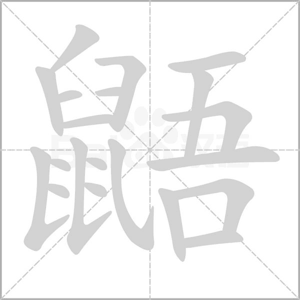 鼯字笔顺动画
