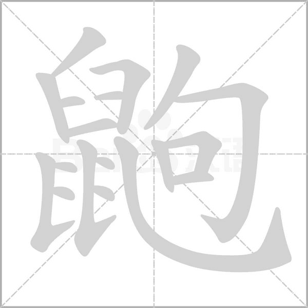 鼩字笔顺动画