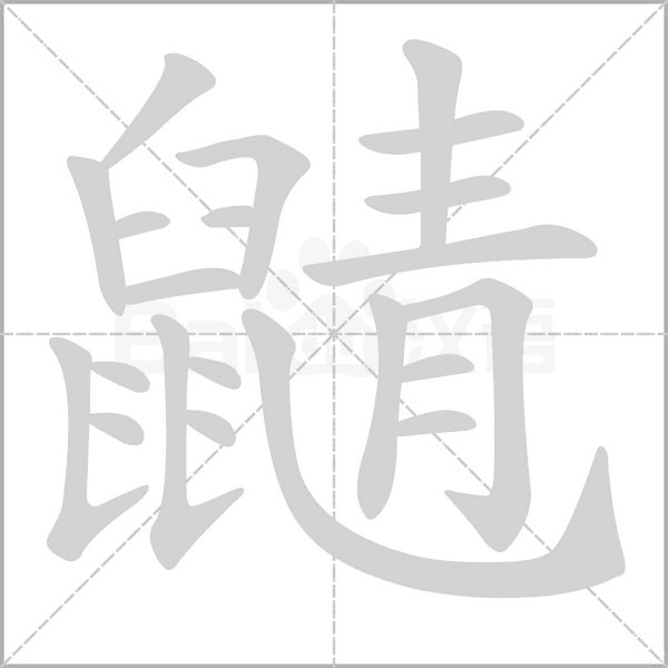 鼱字笔顺动画