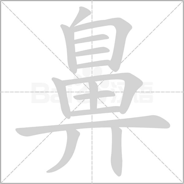 鼻字笔顺动画