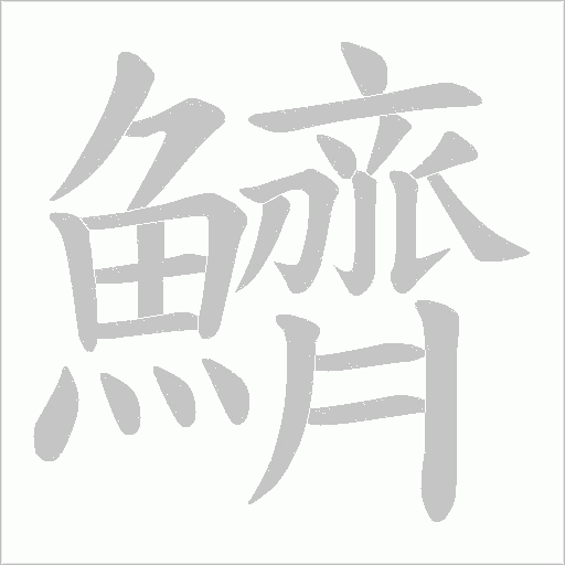 鱭字笔顺动画