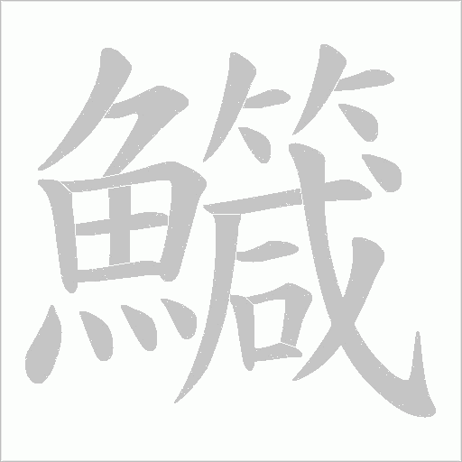 鱵字笔顺动画
