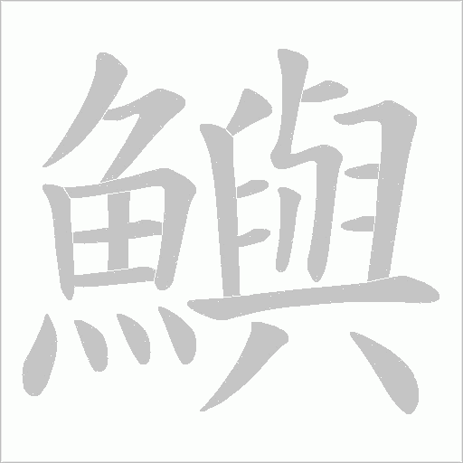 鱮字笔顺动画