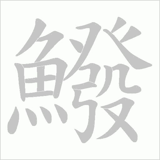 鱍字笔顺动画