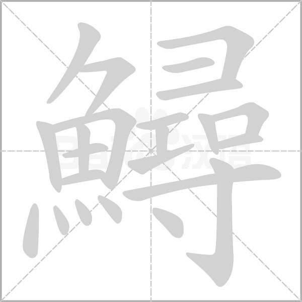 鱘字笔顺动画
