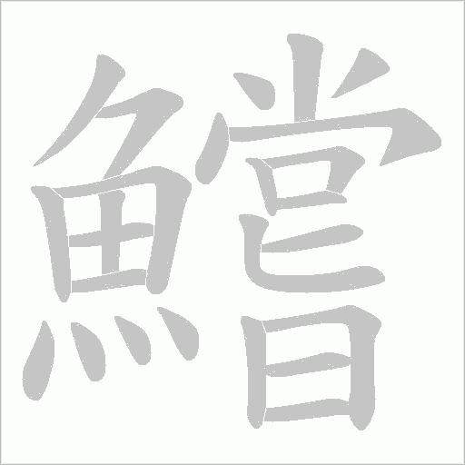 鱨字笔顺动画