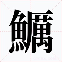鱱字笔顺动画