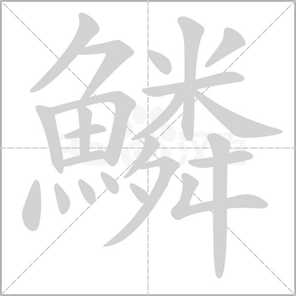 鱗字笔顺动画