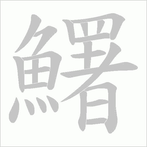 鱰字笔顺动画