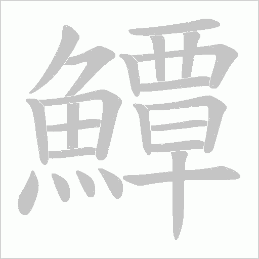鱏字笔顺动画