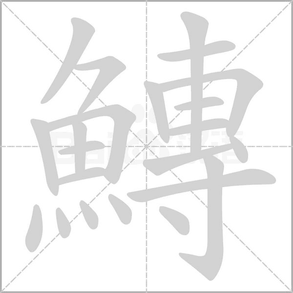 鱄字笔顺动画
