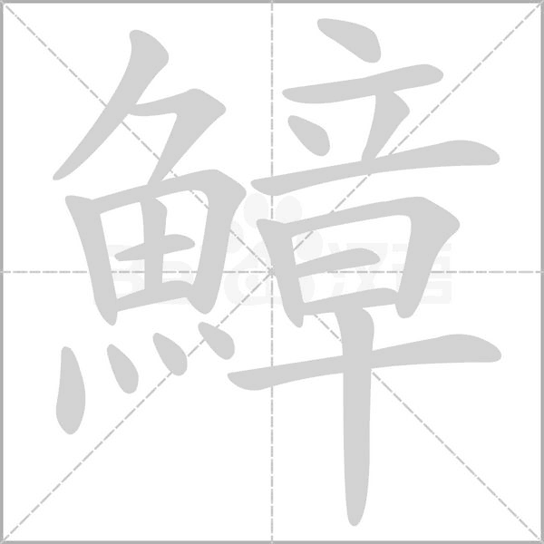 鱆字笔顺动画