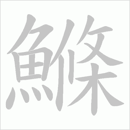 鰷字笔顺动画