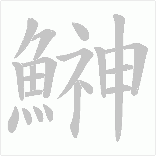 鰰字笔顺动画