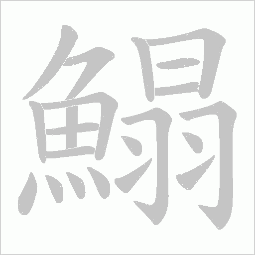 鰨字笔顺动画