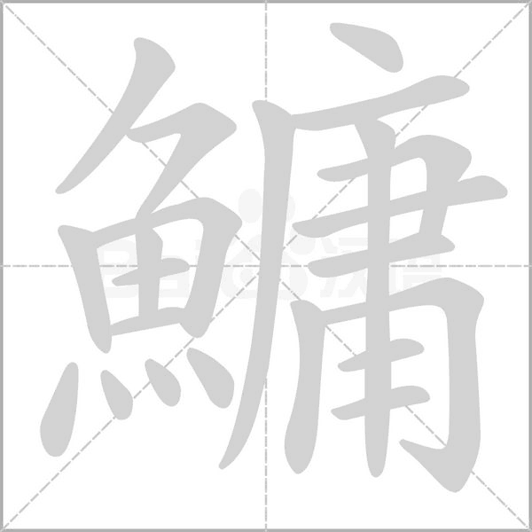 鱅字笔顺动画