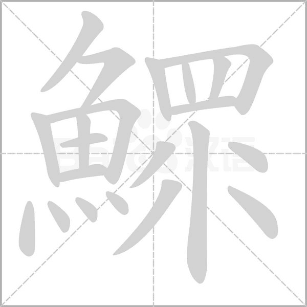 鰥字笔顺动画