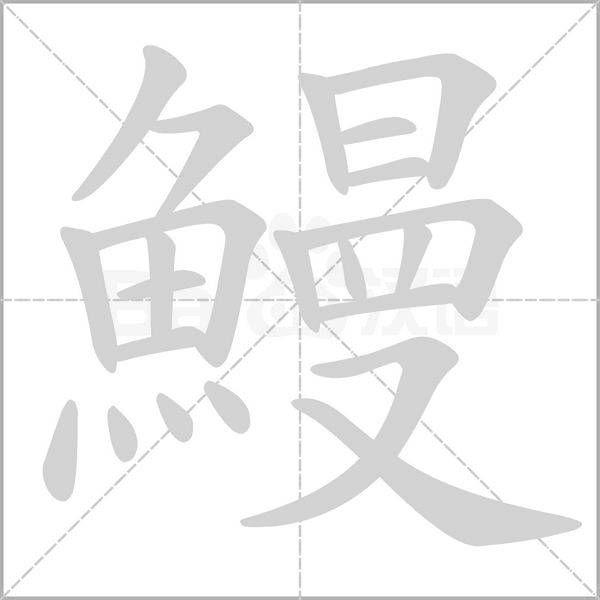 鰻字笔顺动画