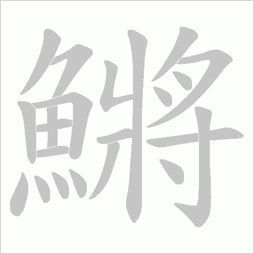 鱂字笔顺动画