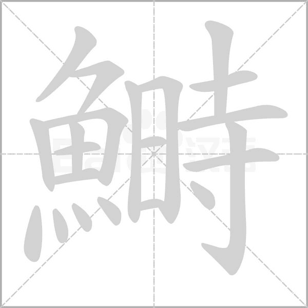 鰣字笔顺动画