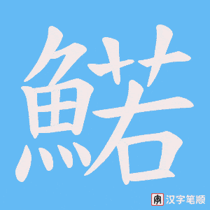 鰙字笔顺动画