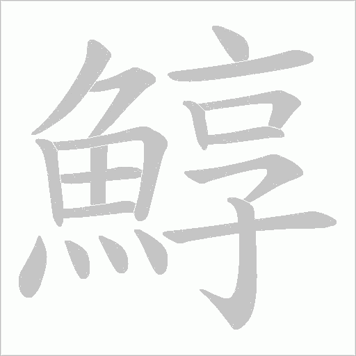 鯙字笔顺动画