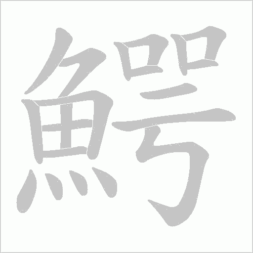 鰐字笔顺动画
