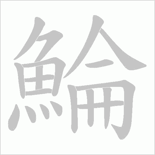鯩字笔顺动画