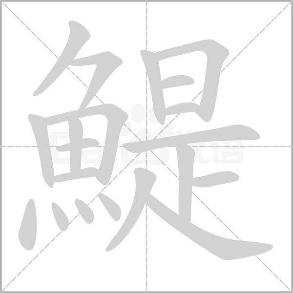 鯷字笔顺动画