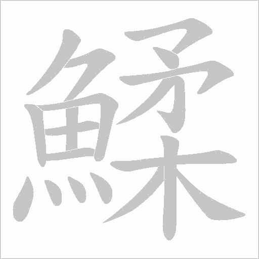 鰇字笔顺动画