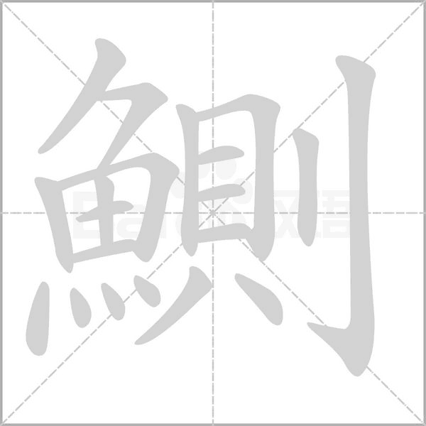 鰂字笔顺动画