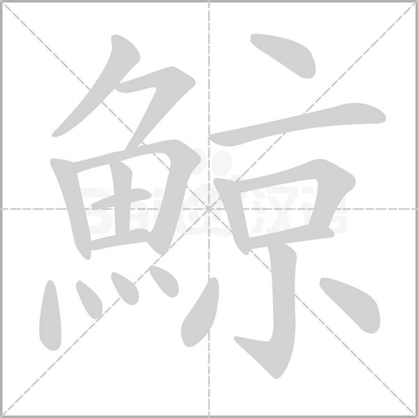 鯨字笔顺动画