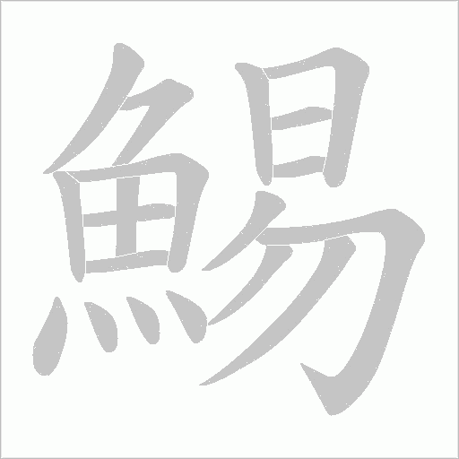 鯣字笔顺动画