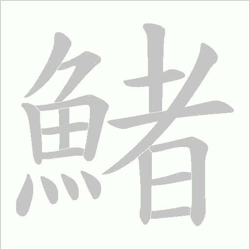 鯺字笔顺动画
