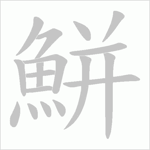 鮩字笔顺动画