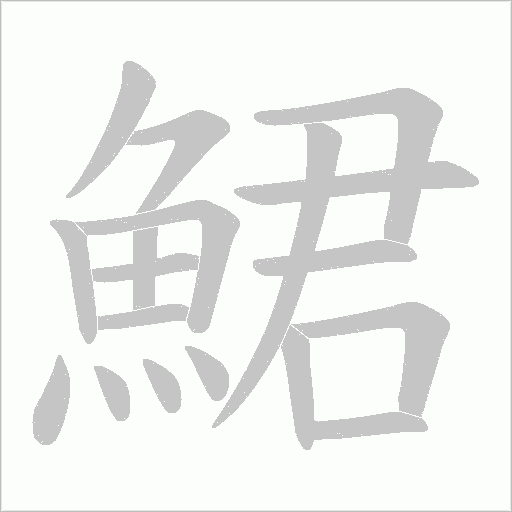 鮶字笔顺动画