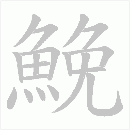 鮸字笔顺动画