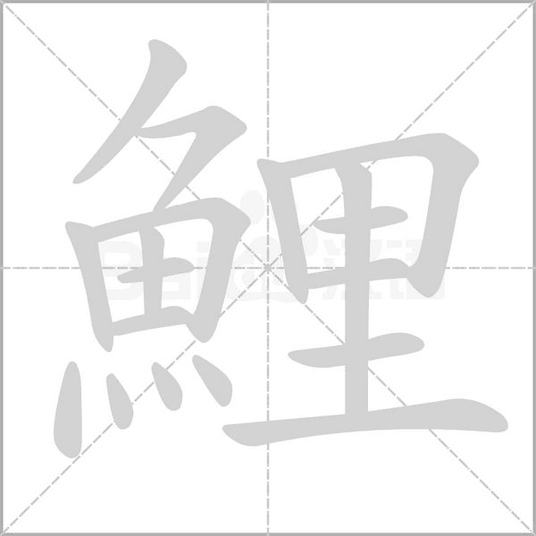 鯉字笔顺动画