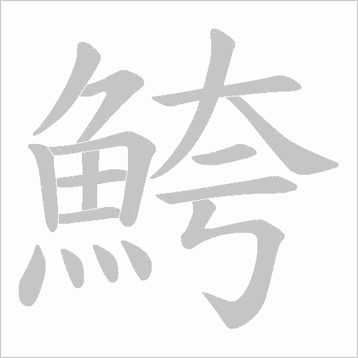 鮬字笔顺动画