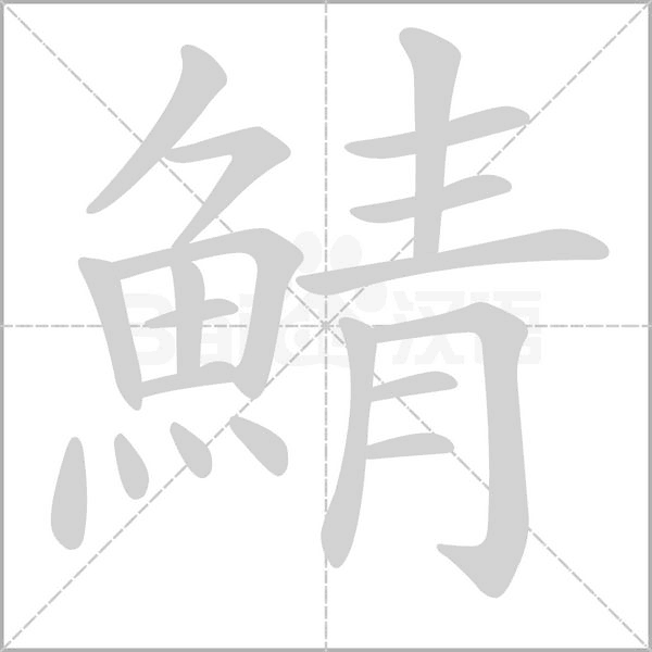鯖字笔顺动画