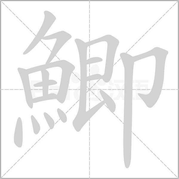 鯽字笔顺动画