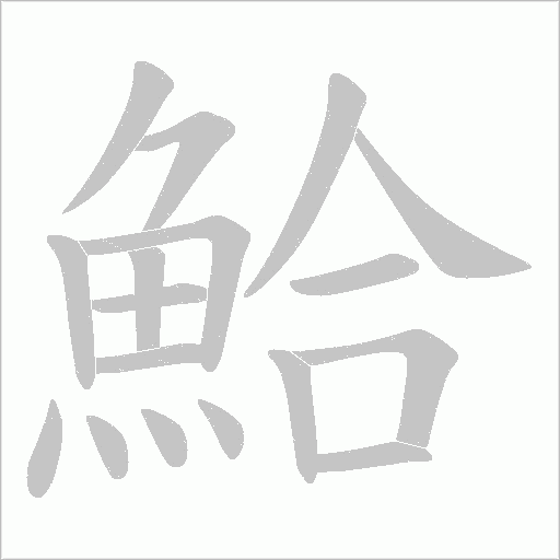 鮯字笔顺动画