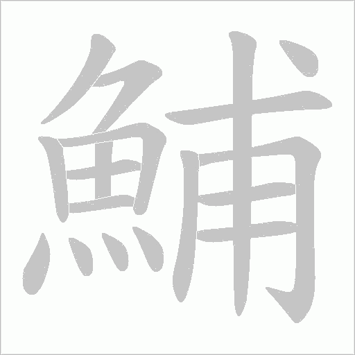 鯆字笔顺动画
