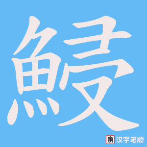 鮼字笔顺动画