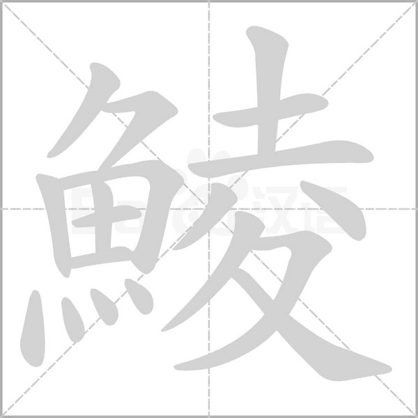鯪字笔顺动画
