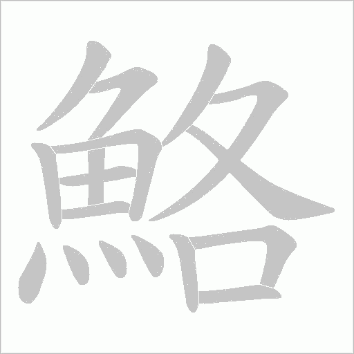 鮥字笔顺动画