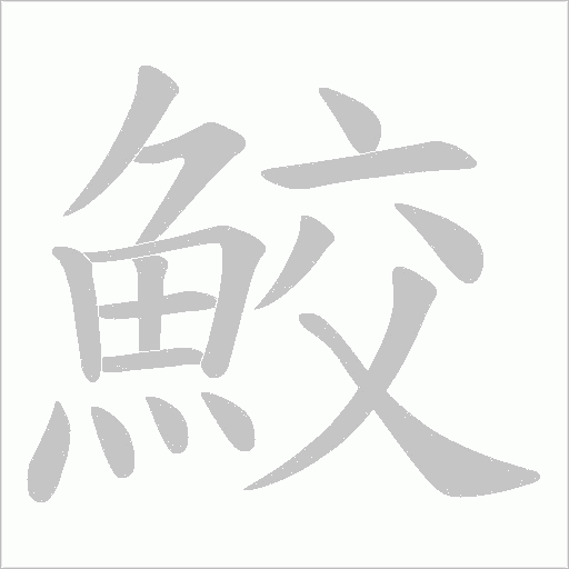 鮫字笔顺动画