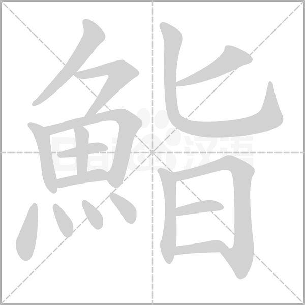 鮨字笔顺动画
